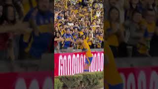 gol de gignac tigres vs leon empate futbol tigres ligamx tigresuanl football messi cr7 [upl. by Ylrebmik]