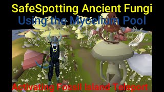 OSRS Ancient Fungi Safespot and Mycelium Pool [upl. by Tiffie]