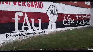 “An Organisation of Militants” The Federación Anarquista Uruguaya FAU [upl. by Suehtomit814]