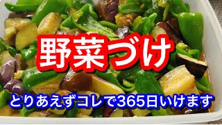 野菜はとりあえず酢醤油につけときゃいい【アレンジ前の基本のき】 [upl. by Urquhart994]