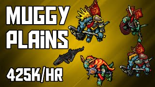 Tibia Where to Hunt – RP 50 Muggy Plains 425khr  80 [upl. by Notsua]