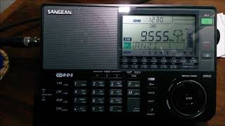 CNR1 Firedrake Jammer November 3 2020 shortwave radio [upl. by Hunley219]