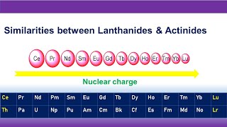 Similarities between Lanthanides amp Actinides [upl. by Philana]