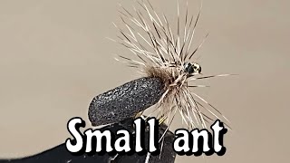 SMALL ANT  20 Grayling dry flies [upl. by Aiciles826]