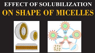 Effect of Solubilization on Shape of Micelles  Chemistry Insights By Dr Usman  ChemClarity [upl. by Duomham564]