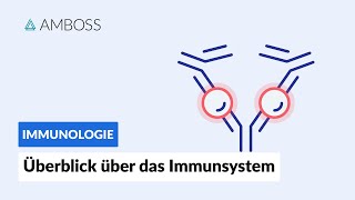 Überblick über das unspezifische und spezifische Immunsystem  Immunologie  AMBOSS Video [upl. by Sheridan]