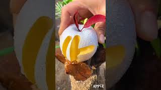 Apple 🍎🍏 fruit shortvideo fruitjuice mango apple citrusjuice [upl. by Sineray]