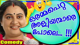 ഒരമ്മപെറ്റ അളിയന്മാരാണന്നേ പറയൂ  Bindu Panicker Comedy Scenes  Malayalam Comedy Scenes HD [upl. by Aiekan654]