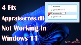 Fixing Appraiserdll Error in Windows 11 A StepbyStep Guide [upl. by Dulcia694]