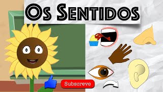 Vamos AprenderOs Sentidos Aula Estudo do Meio de 1º Ciclo em Português de Portugal [upl. by Jack297]