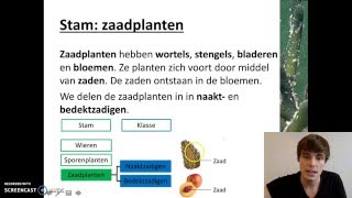 Ordening  Het rijk van de planten [upl. by Ssecnirp797]