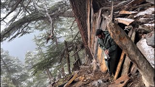 Building winter Survival Shelter Snowfall In NightBushcraft [upl. by Brucie]