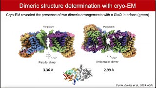 TRAPped in an elevator aminosugar uptake and utilisation by bacteria [upl. by Dannel]