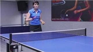 Table Tennis  Ping Pong Shot Techniques [upl. by Bidget]