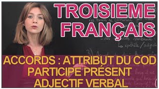 Accords  attribut du COD participe présent  adjectif verbal  Français 3e  Les Bons Profs [upl. by Pepita506]