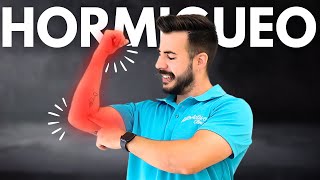 🔴 5 Ejercicios para Aliviar el HORMIGUEO y DOLOR BRAZO en Casa ⚡️Atrapamiento del Nervio Cubital [upl. by Johannessen]