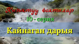 Кызыктуу фактылар 10серия Кайнаган дарыя [upl. by Norel]