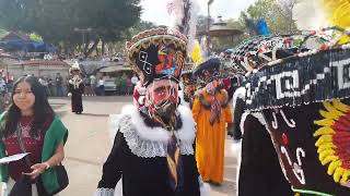 Carnaval Tepoztlán Morelos 2024 Comparsa Anáhuac🐸 Martes 13 de Febrero 🐸🐸🐸🐸 [upl. by Ardnohsal]