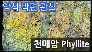 암석 천매암 박편 관찰하기 Phyllite thin section [upl. by Shanda]