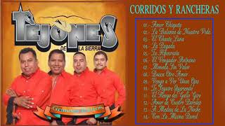 Los Tejones de La Sierra  Puros corridos Mix [upl. by Pang]