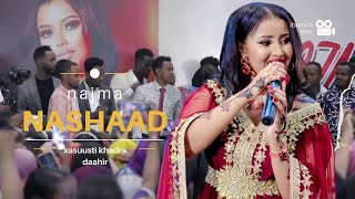 Najma Nashaad Haddii aanan belaayooy Xasuusti Khadra Daahir 2024 [upl. by Leander]