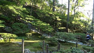 My Favorite Japanese Garden  Kogetsudai Kyoto  October 11 2024 [upl. by Meer447]