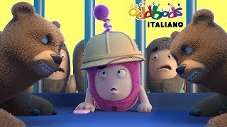 Oddbods  IL Fotografo Ingabbiato  Cartoni Animati Divertenti per Bambini [upl. by Margo]