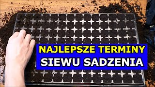 W TYM TERMINIE siej sadź Pomidory Paprykę Ogórki Por 60 innych Warzyw Najlepszy Terminarz siewu [upl. by Pike]