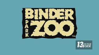 Binder Park Zoo offers funs summer visit lots of new experiences [upl. by Auqinahc]