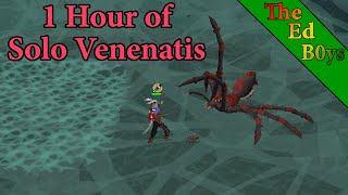 OSRS 1 Hour of Solo Venenatis  Venenatis Example Kills [upl. by Iatnahs]