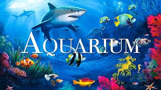 The Best 4K Aquarium for Relaxation Sleep Relax Meditation Music Relaxing Ocean Fish [upl. by Nawek]