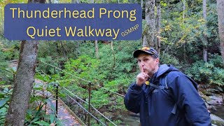 Thunderhead Prong Quiet Walkway [upl. by Jeremiah633]