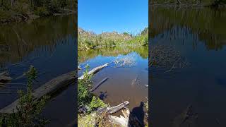 ¿Ya conociste a los TABANOS de la patagonia argentina verano 2024 Laguna C° Currumahuida hiking [upl. by Bywaters]