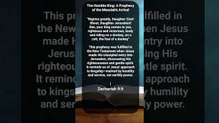 The Humble King A Prophecy of the Messiahs Arrival  Zechariah 99 [upl. by Ojadnama]