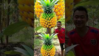 Survival Skills grafting Pineapple Fruit Banana fruit survival fruit banana Pineapple shorts [upl. by Tereve]