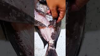 Removing the Skin of the Fish shortsfeed fish enjoy [upl. by Pruter]