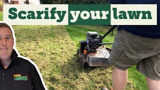 How to scarify your lawn step by step [upl. by Nerradal]