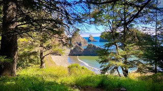 Southern Oregon Coast  Stunning sights in 4K [upl. by Rickey]