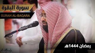 سورة البقرة  للشيخ ناصر القطامي من رمضان ١٤٤٤هـ  SurahAlBaqarah [upl. by Bainbrudge]