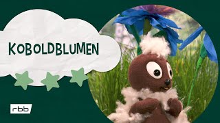 Pittiplatsch Koboldblumen  Unser Sandmännchen [upl. by Bonner485]