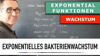 Wie berechne ich ein exponentielles Bakterien Wachstum  Exponentialrechnung  Wachstumsfunktion [upl. by Dur]