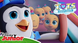 ✈️ Zadanie polowe  TOTS  Disney Junior Polska [upl. by Pratt]