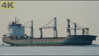 WLADYSLAW ORKAN  Shipspotting Germany 🇩🇪 IMO 9271925  River Elbe near City Otterndorf  4K VIDEO [upl. by Nnylf]