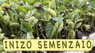 SEMENZAIO FAGIOLO e FAGIOLINO  tutorial completo [upl. by Yesnikcm]