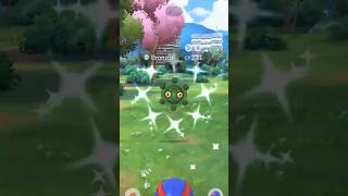 ✨I Found The WRONG SHINY Pokemon in Pokemon Go…✨ pokemon shorts [upl. by Haeel]