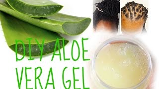 MAKING ALOE VERA GEL  ONLY 5 MINS amp SUPER EASY  6 QUICK FACTS ABOUT ALOE [upl. by Sayers434]