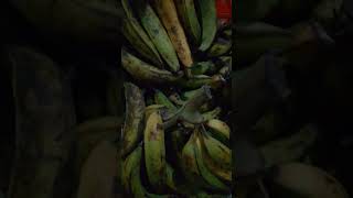 plantains in bunch shortvideo subscribe [upl. by Kwei]