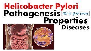 Helicobacter pylori microbiology  Pathogenesis disease treatment diagnosis  peptic ulcer [upl. by Thompson]