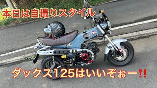 ダックス125はいいぞぉー‼️ダックス125 st125 [upl. by Carmita]