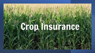 quotUnderstanding Crop Insurance What Farmers Need to Knowquot  insuranceworldtv [upl. by Cottrell917]